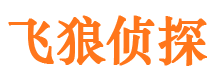 锦屏侦探公司